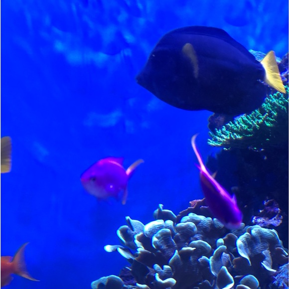 ๐๏ธ๐๐๏ธ๐๐๏ธ๐LIVE SHOW NOTIFICATION ๐ฃ๐๏ธ๐๐๏ธ - Picture 10 of 14